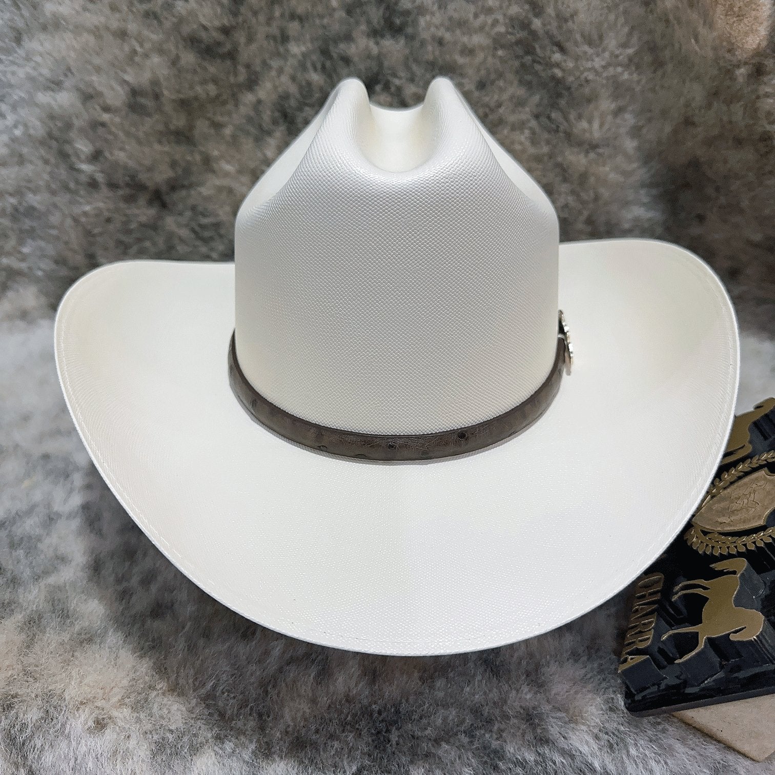 Chaparral 10,000x F9cm - Tombstone - Imagen 4