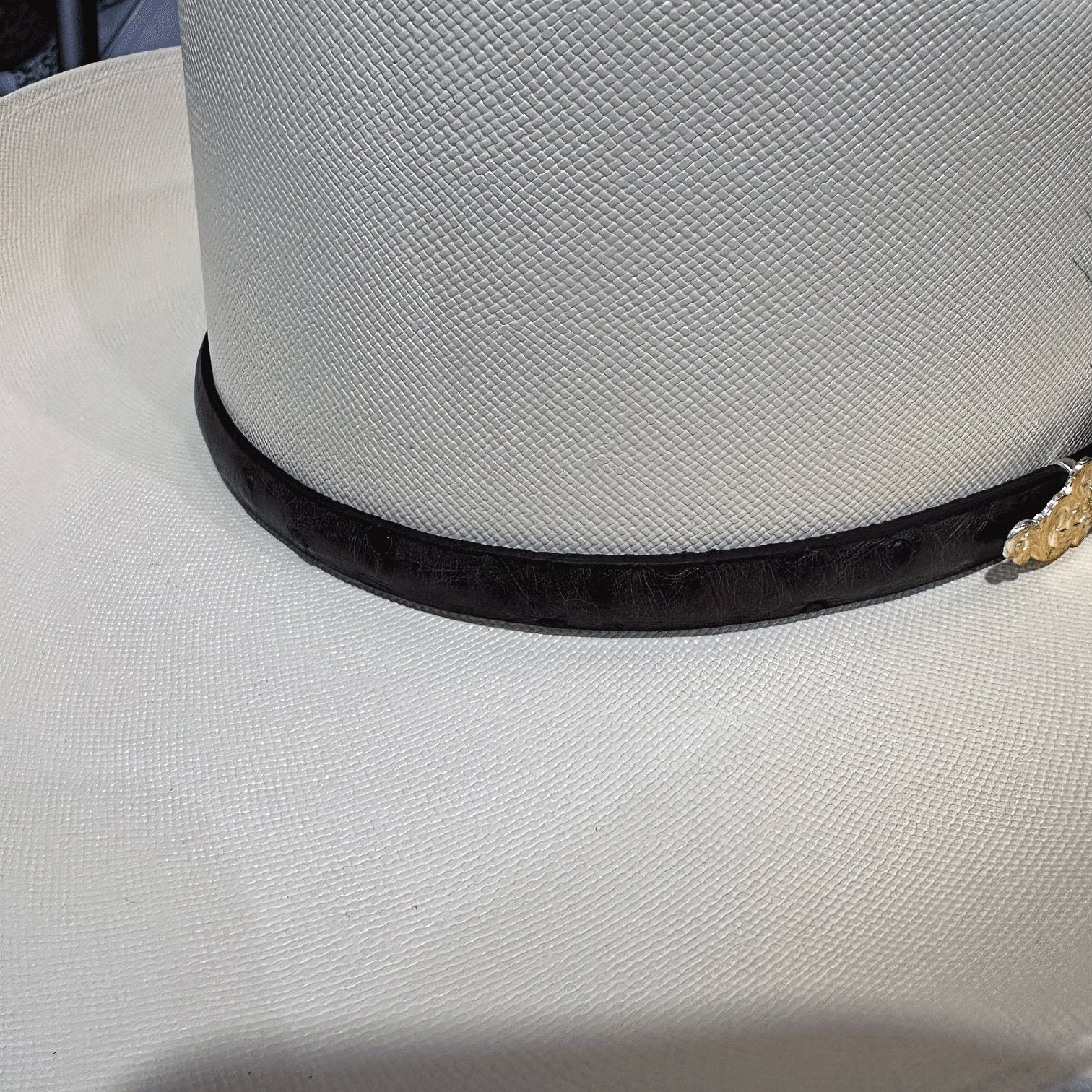 Chaparral 10,000x F9cm - Tombstone - Imagen 5