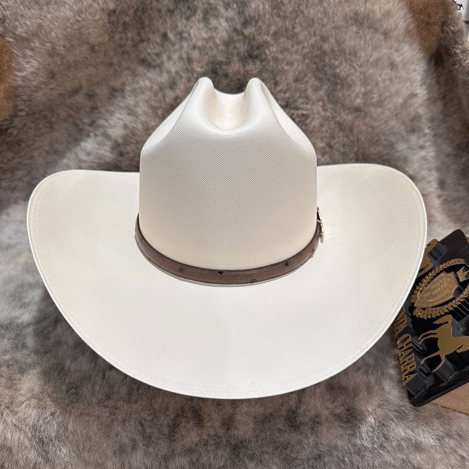 Chaparral 10,000x falda 10cm - Tombstone - Imagen 4