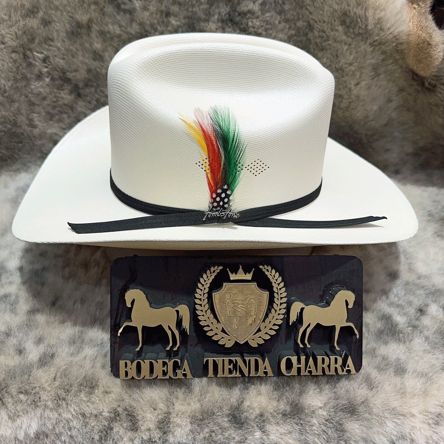 Chaparral 1000x toq. biplay - Tombstone - Imagen 5