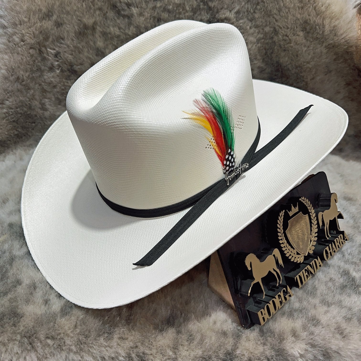 Chaparral 1000x toq. biplay - Tombstone - Imagen 3