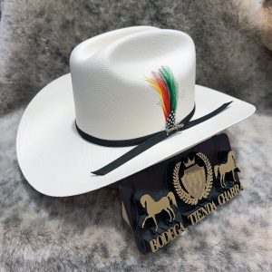 Chaparral 1000x toq. biplay  - Tombstone