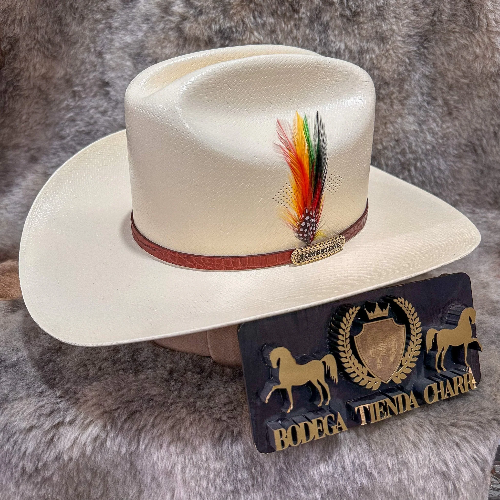 Chaparral 15x paja F9cm - Tombstone - Imagen 4