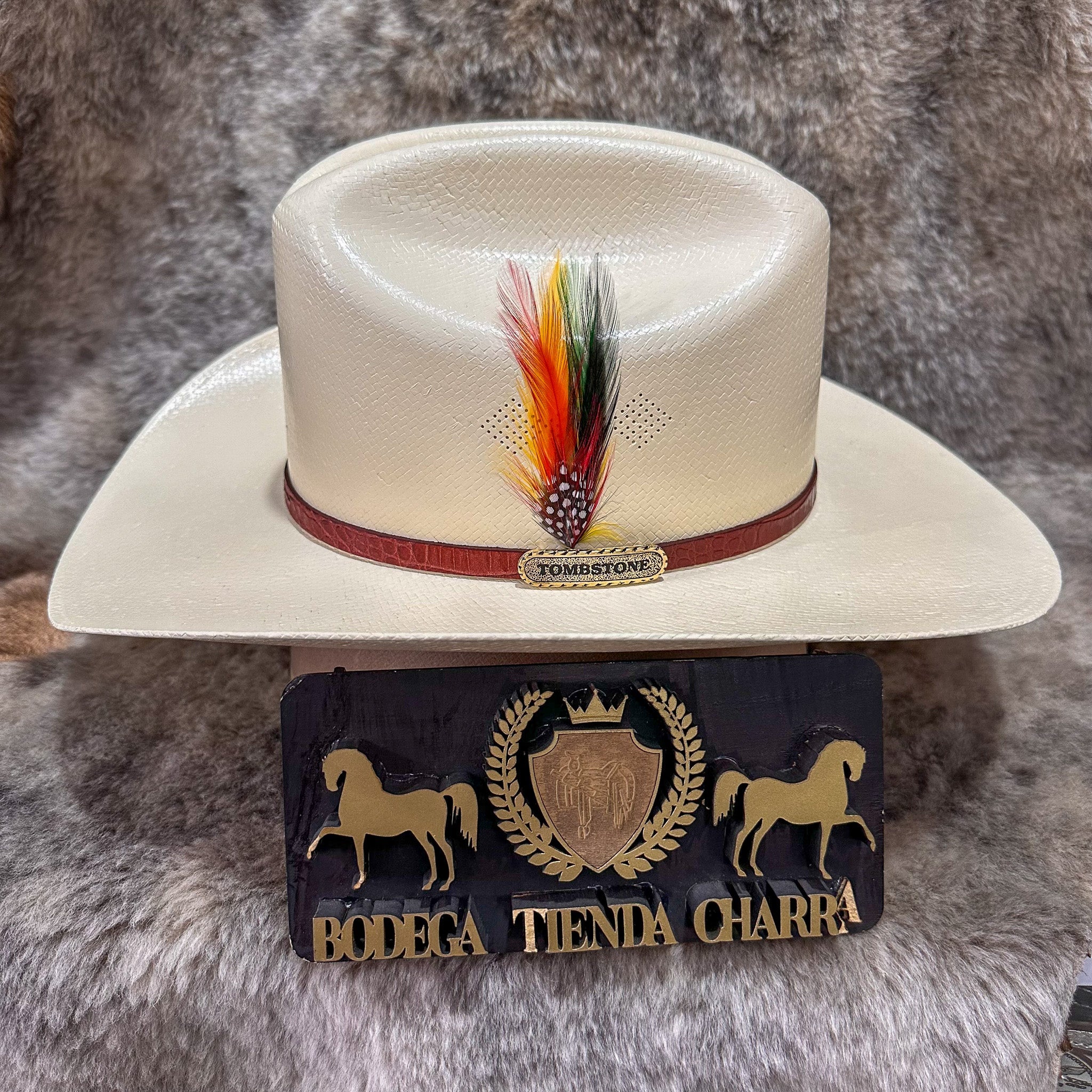 Chaparral 15x paja F9cm - Tombstone - Imagen 3