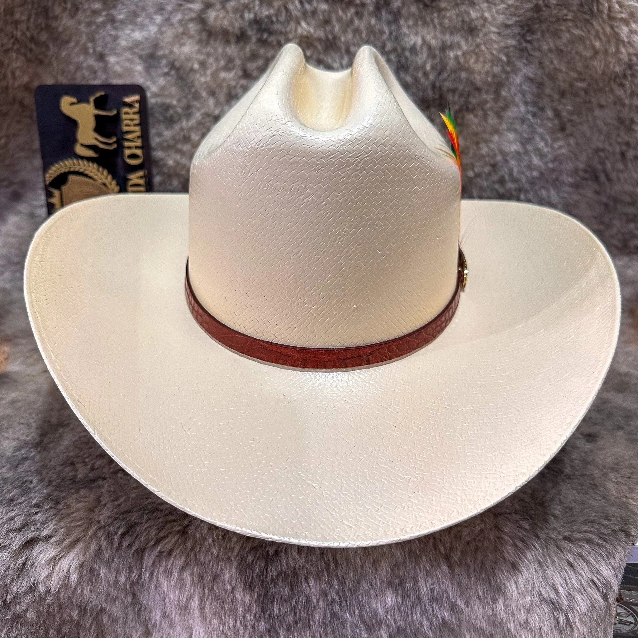 Chaparral 15x paja F9cm - Tombstone - Imagen 5