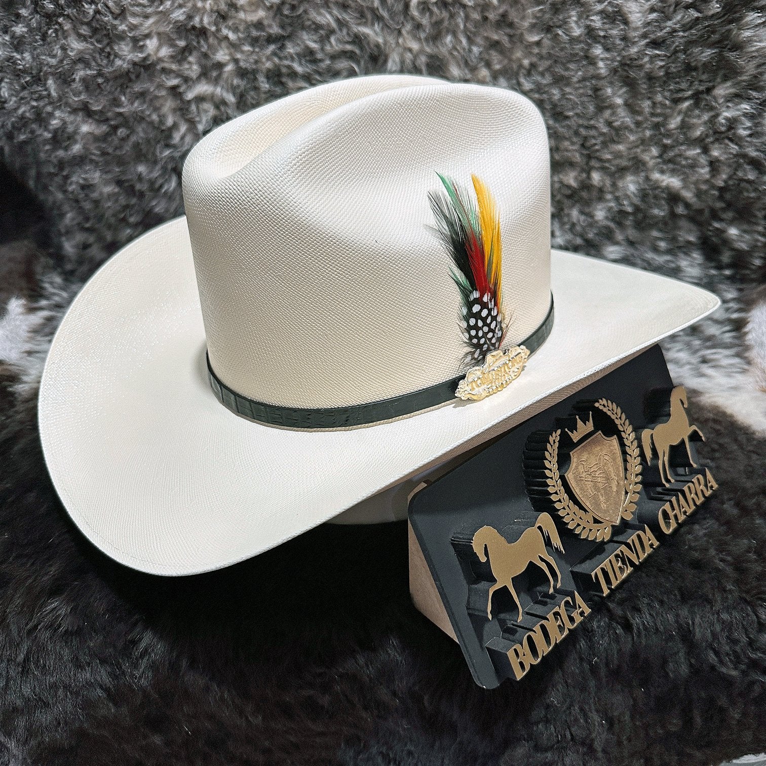 Chaparral 200x - Tombstone - Imagen 3