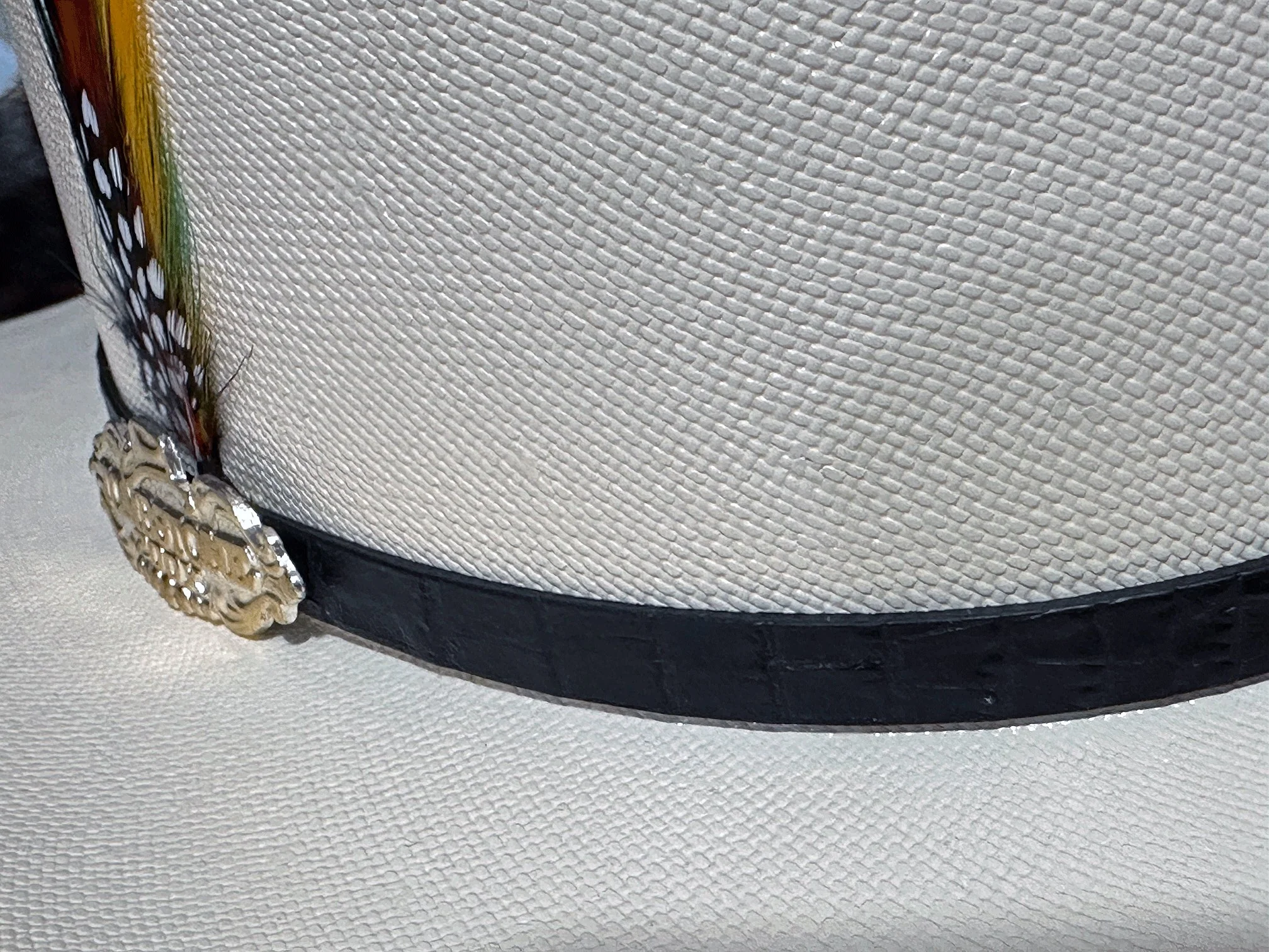 Chaparral 200x - Tombstone - Imagen 4