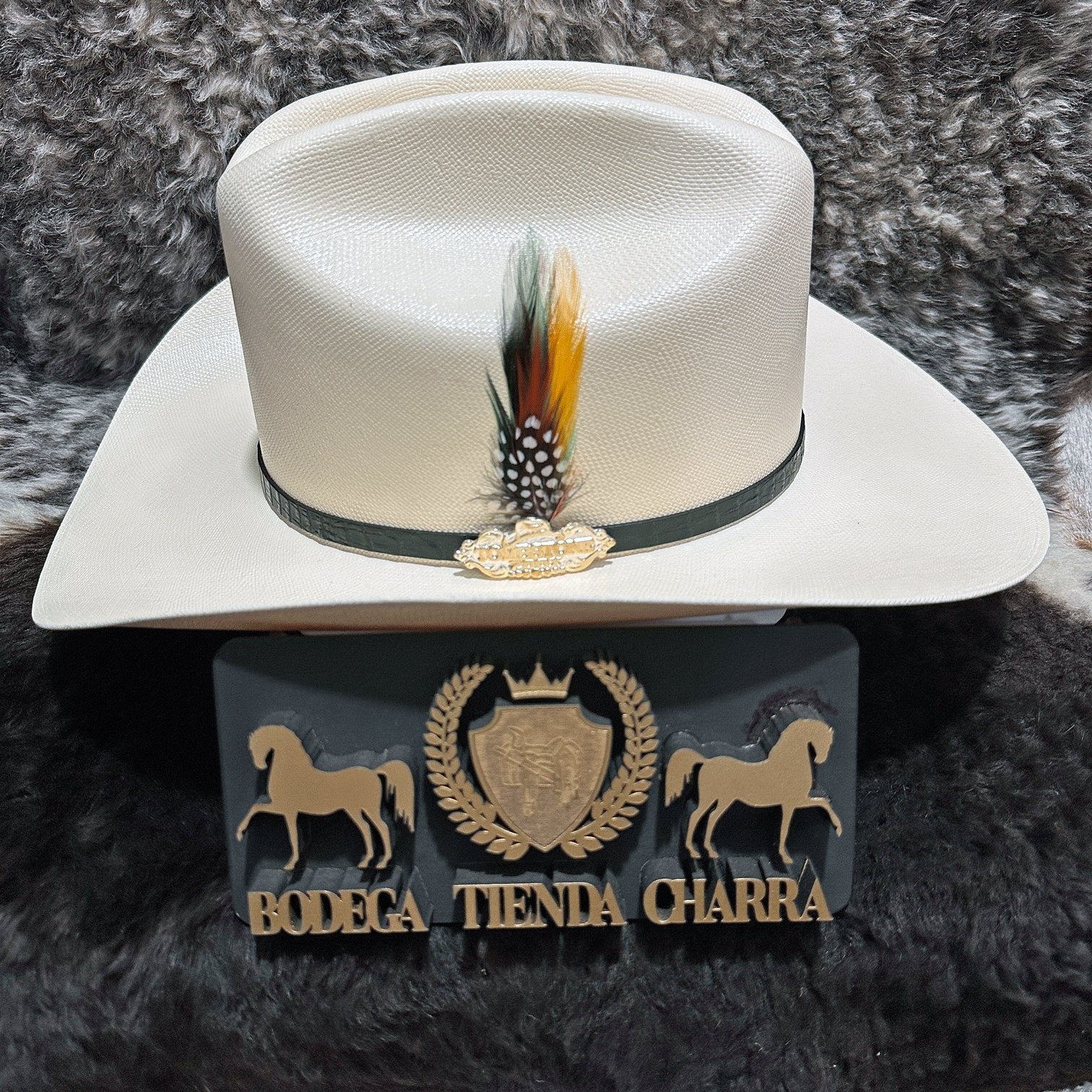 Chaparral 200x - Tombstone - Imagen 5