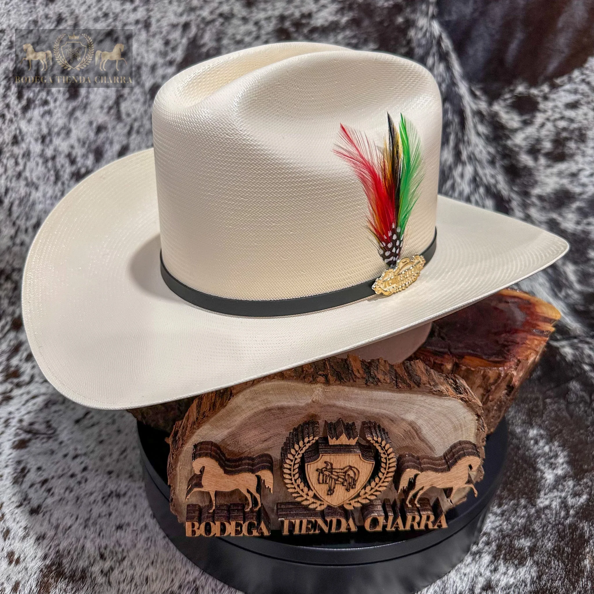 Chaparral 300x natural F10cm - Tombstone - Imagen 2