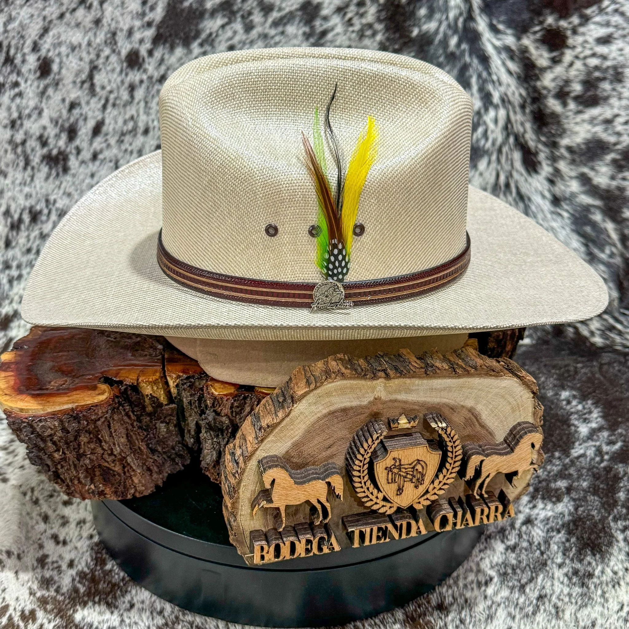 Chaparral telar capuchino F9cm - Tombstone - Imagen 5