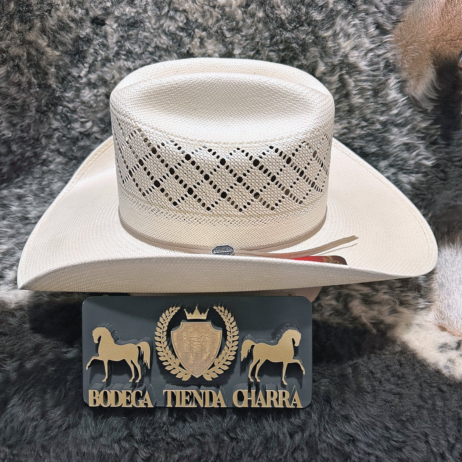 Giza ventilado 300x marca Valtierra - Imagen 4