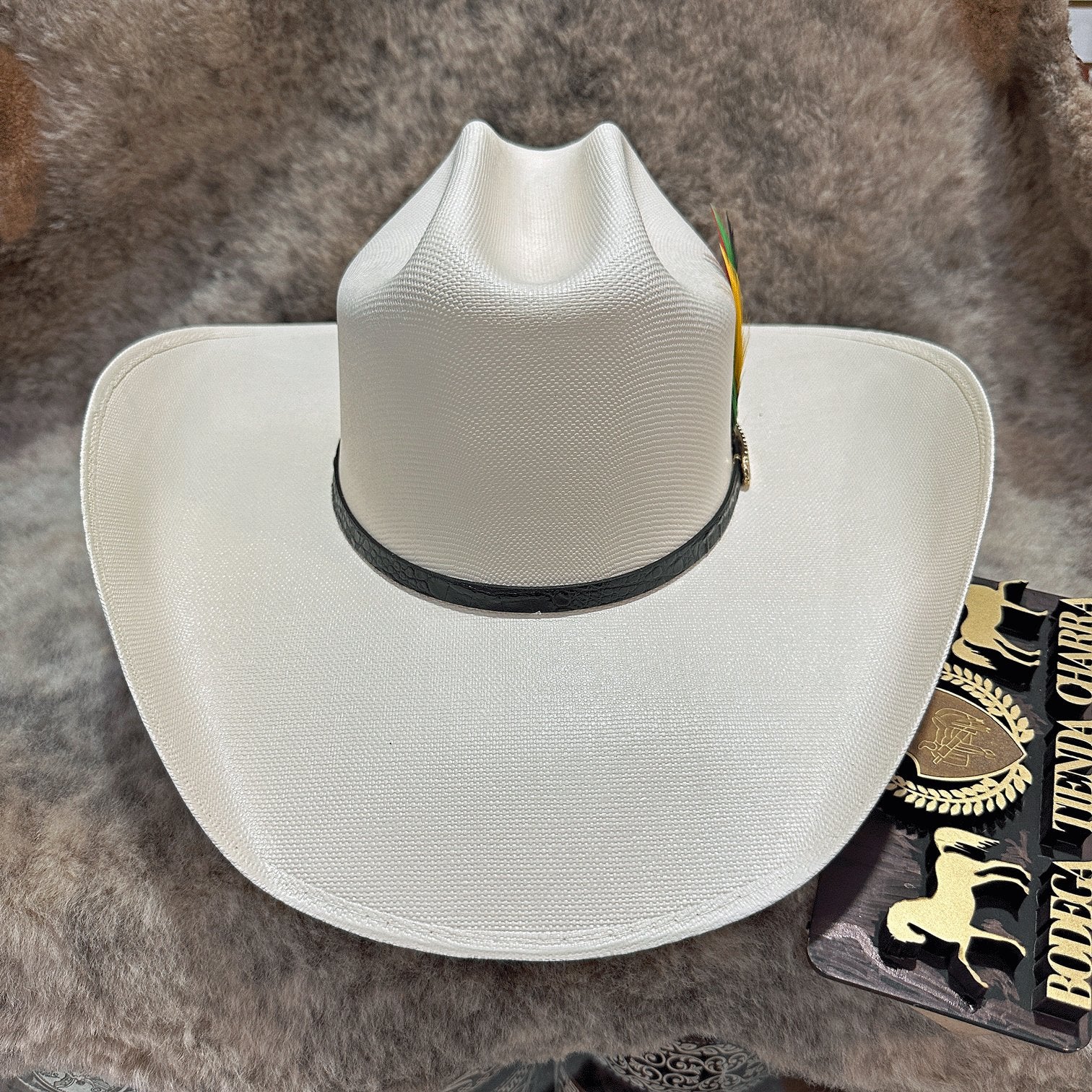 Roper 1000x telar master - Tombstone - Imagen 3