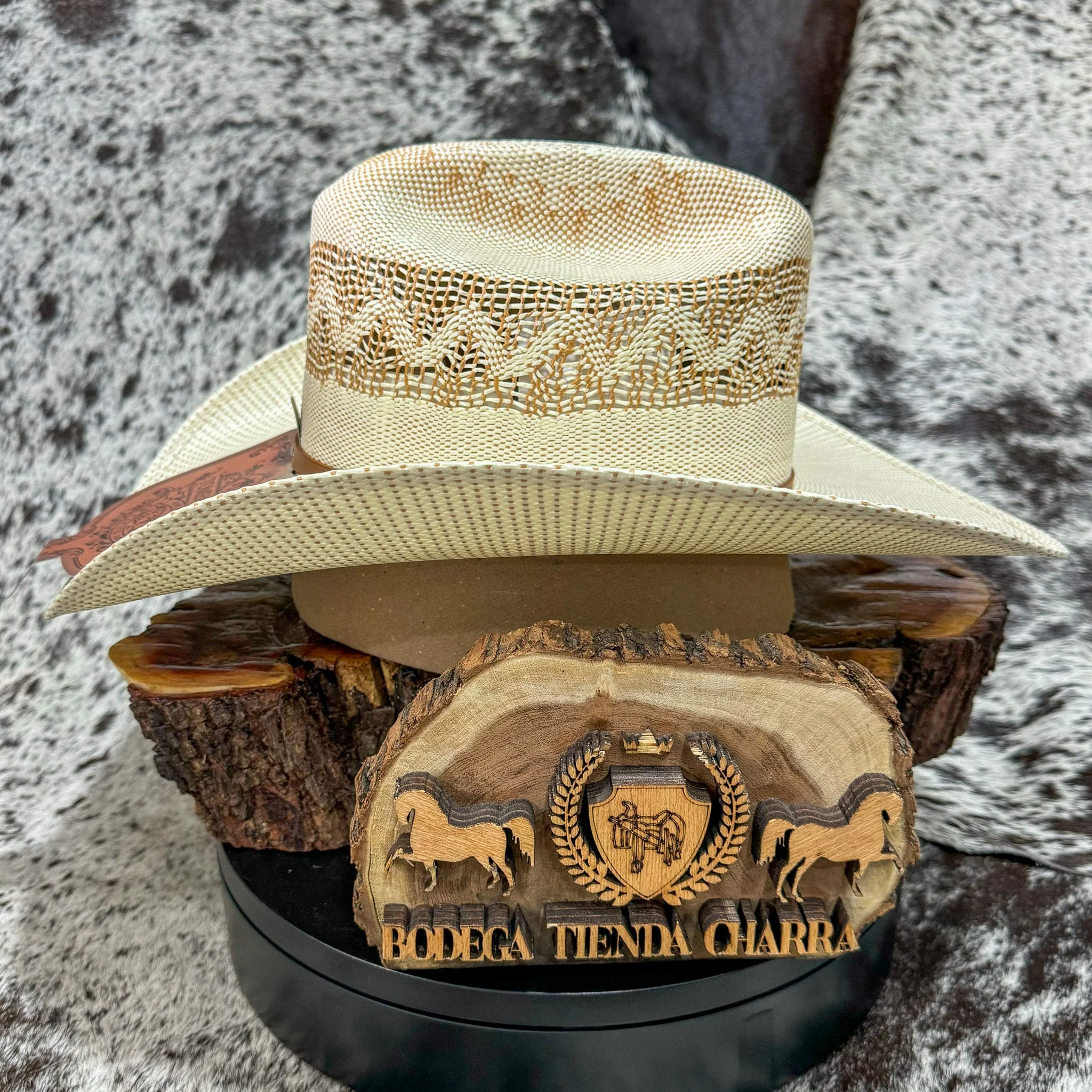 Roper Bangora bicolor 10x - Tombstone - Imagen 4